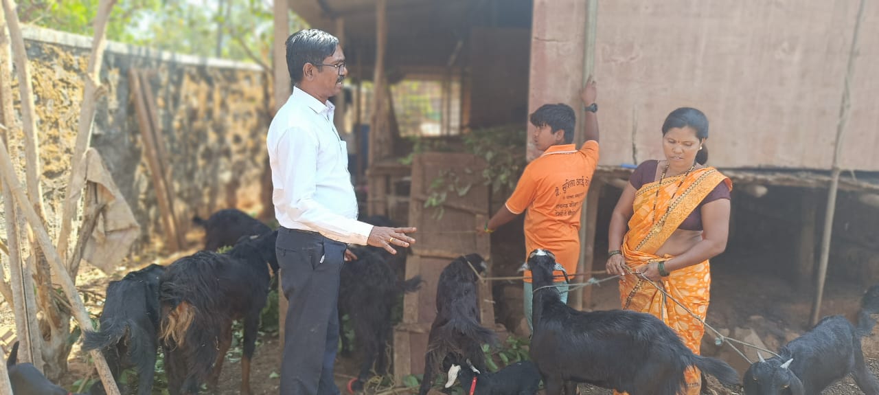 Door To Door Visit Of Farmer To Note Parasitic Problems